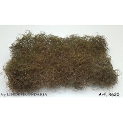 Rovi/Cesp autunno secchi